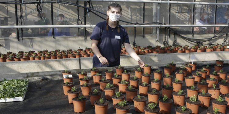 #directHDF Des solutions pour les #jeunes sans contrat d’#apprentissage impactés par la crise sanitaire ➡ adoption d’une délibération pour élargir l’accès aux Fonds de solidarité des apprentis pour les aider à faire face à leurs difficultés financières. #COVID19