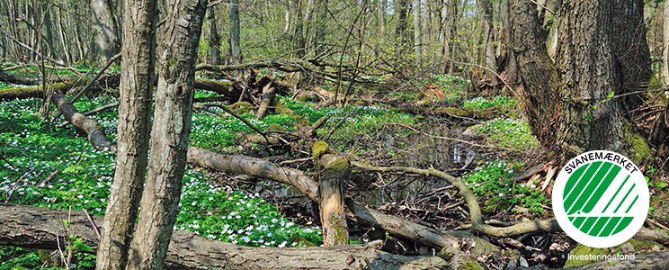 Antallet af svanemærkede investeringsfonde er i løbet af de seneste år steget markant i hele Norden. Og i dag lanceres endnu en svanemærket fond, ”Danske Aktier Indeks Bæredygtig” fra BankInvest. Se mere ⬇️

ecolabel.dk/da/aktuelt/nyh…