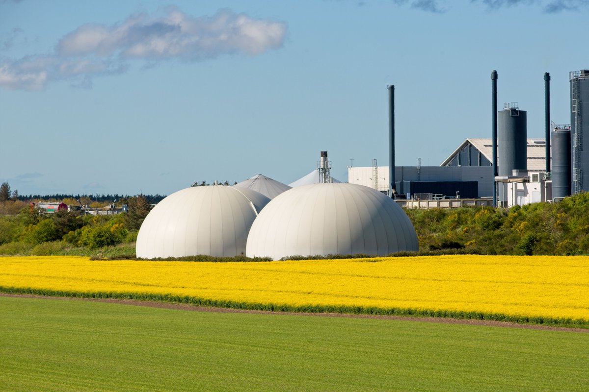 In just one year, 🇩🇰 has doubled the share of biogas in the Danish gas grid. At the beginning of 2020, the share was 11 percent while it was 21 percent the year after. The Danish Energy Agency expects that the share of biogas in the gas grid will increase to 40 percent in 2025 🌍