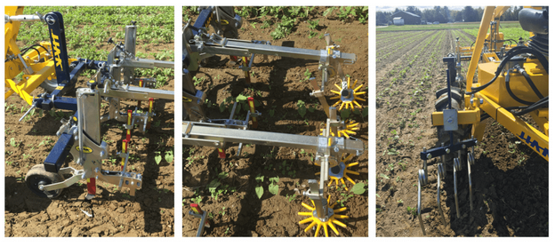 CornellIPM's tweet photo. https://t.co/aCtTEss9uw 2020 reduced many demos, so enjoy the highlights of this one from 2019 featuring NYSIPM weed specialist, Bryan Brown, and his stacked cultivation trials. Two or more tools are better than one!
#weeds #MechanicalControl https://t.co/3MG7bQLIxa