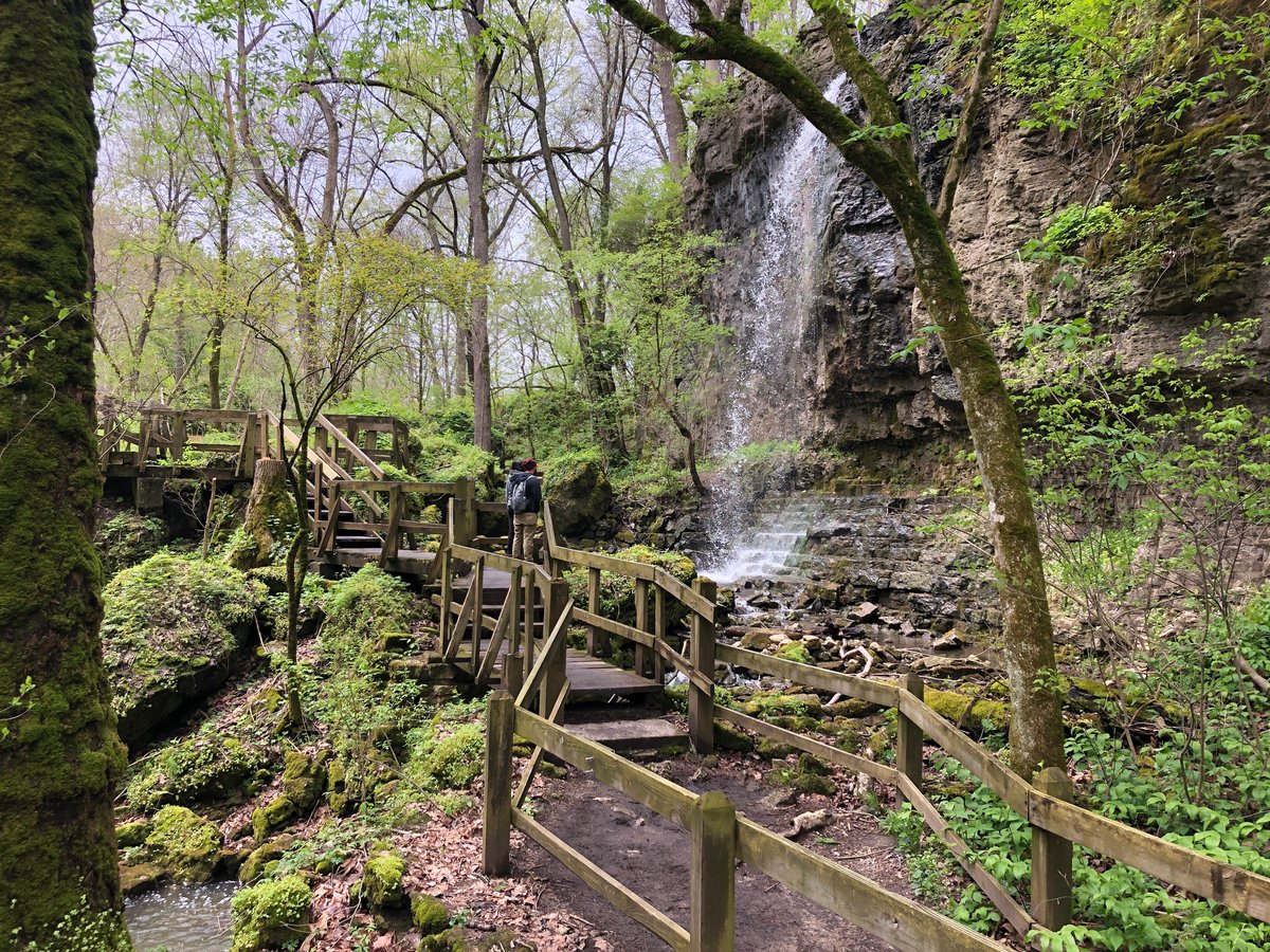 Looking for a day trip this spring? Head to John Bryan State Park as well as Clifton Gorge State Nature Preserve near Yellow Springs for some great hikes and wildflowers. 🌼 And don't miss the Storybook Trail! 🥾📚 #OhioWildflowers ohiodnr.gov/wps/portal/gov…