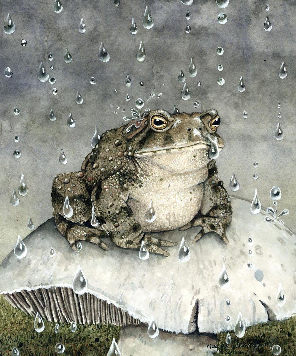 I think all three inches of rain we are supposed to get has arrived and getting it done in five minutes...the birds are loving it. The skink living under the pots on my deck, not so much.
#rainythursday #watercolor #maggievandewalle