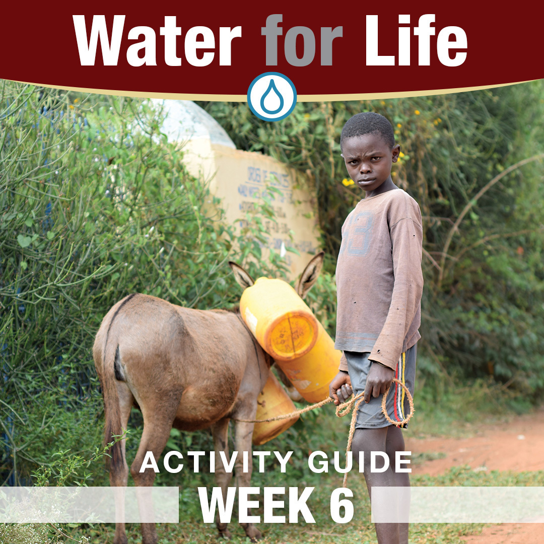 CrossCatholic's tweet photo. Some families walk between 2 to 12 miles every day to gather water. Our Week 6 Lenten activity helps put this "Walk For Water" into perspective.
Learn more and participate: https://t.co/o4KCIpBaqv
Help now: https://t.co/VYhi1HBVOP
#CrossCatholic #CatholicCharity #MissionWork https://t.co/4svKWpuJo5