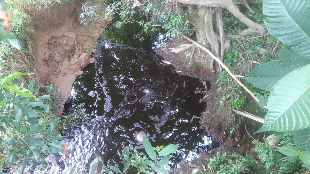 CarlosSantiagoL's tweet photo. Me llegan imágenes de un nuevo derrame hoy en un pozo de @ECOPETROL_SA en Lizama. No son capaces de evitar ni controlar estas tragedias, pero pretenden engañar incautos con su cuentico del "fracking responsable". 🤬🤬🤬 https://t.co/oxzwOw29oB