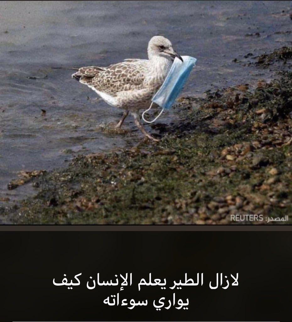 ysas2014's tweet photo. #اللجنه_العليا https://t.co/HaeStcE0Lu