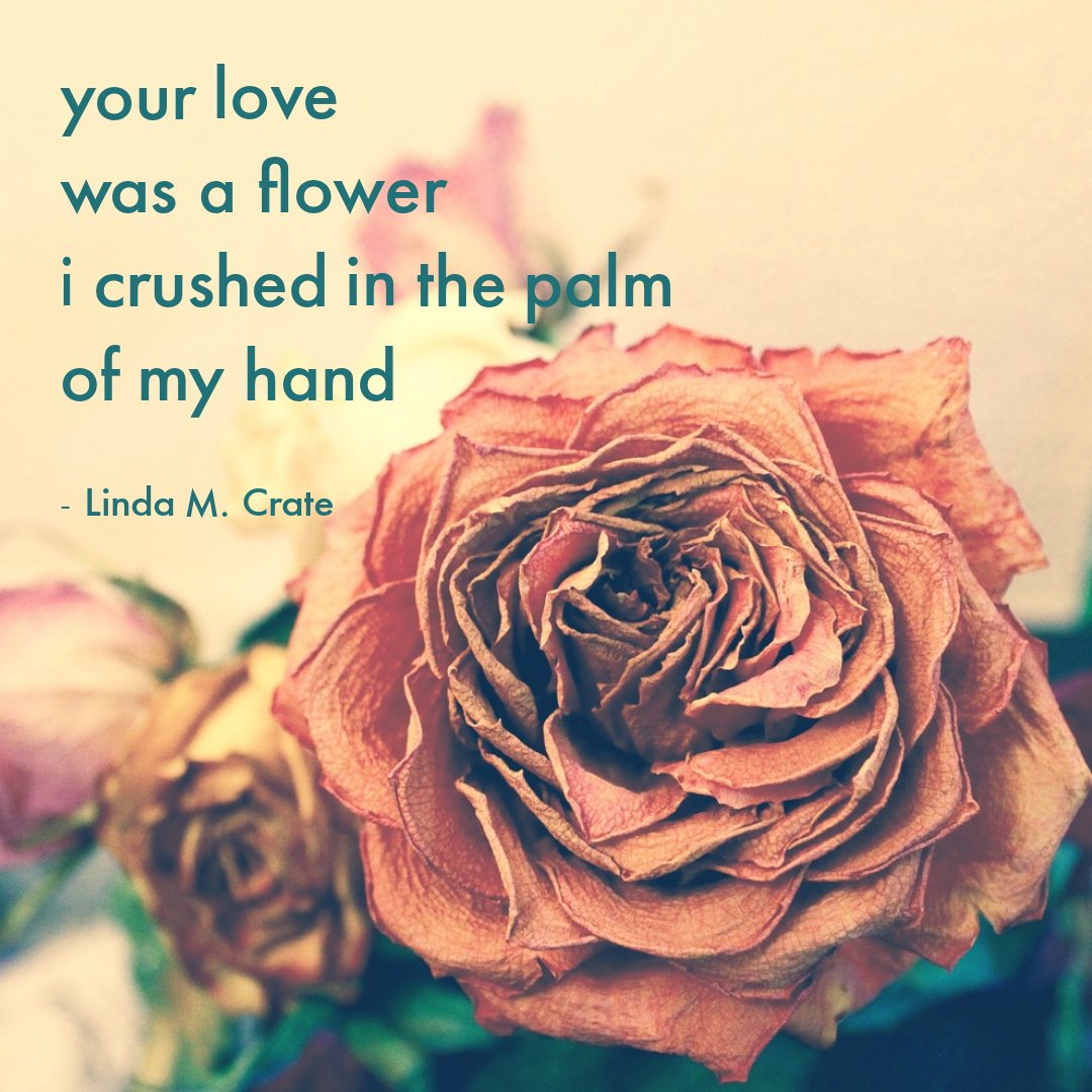 UndividedMag's tweet photo. Another touching and wonderful poem that we're excited to share by @thysilverdoe called "your magic evaded mine" 🌺 Read the rest of this great poem on our website linked in our bio! 😊

#poetry #poetrycommunity #poetryisnotdead https://t.co/XpFCRWLN71