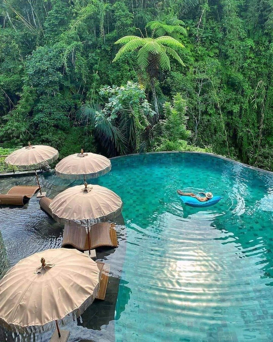 EbookTrip's tweet photo. Bali, Indonesia
#balinese #bali #baliindonesia #like #denpasar #indonesia #balilife #explorebali #infodenpasar #taksu #art #kuta #baliisland #bajangbali #balidaily #infobali #taksubali #balinesegirl #balibible #bamboobag #rattanbag #cantikbali #balitrip #ubud #gadisbali #bhfyp https://t.co/J4UBaLz0b9