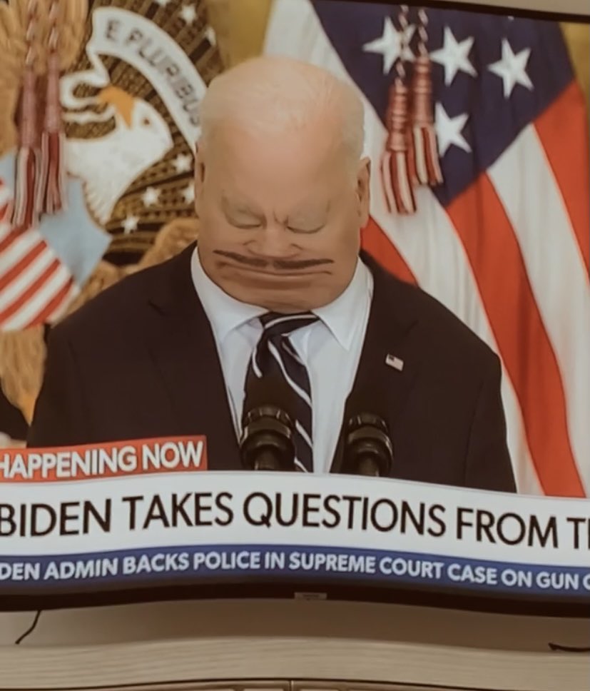 TarynSh_tUp's tweet photo. Snapchat is the only thing getting me through this #bidenpressconference #snapchatfilter #disaster https://t.co/Uts78TGCNz