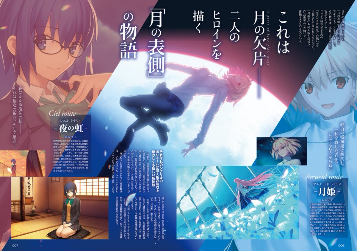 Sey Fgo Lostbelt 6 Tm Type Moon Ace Vol 13 Informations Every Day Today S Menu For Emiya Family Release Date 04 28 Jp World Nintendo Switch Manga