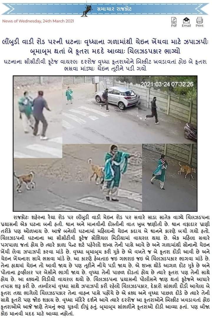 An Old LAdy Was Used to feed dogs when she visits Temple ...on 24-3-21 in early morning when chain snecther tired to pull the Chain Fron her neck ...The Dogs Whom sge feeds come and resued her ..Thats Why i Say Animala are the Most Faothfull