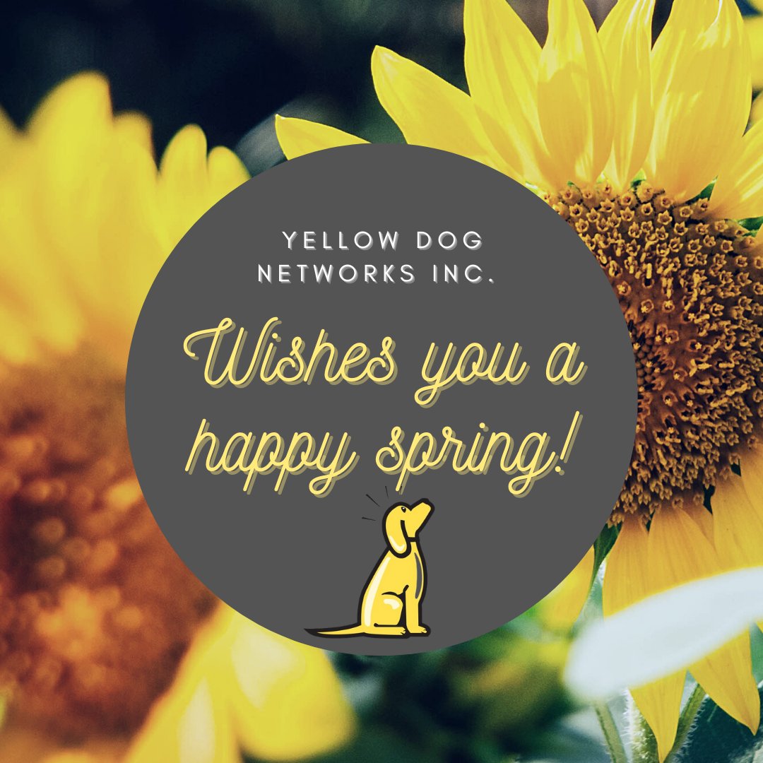 YellowDogNetwks's tweet photo. https://t.co/YqBpI69Lza