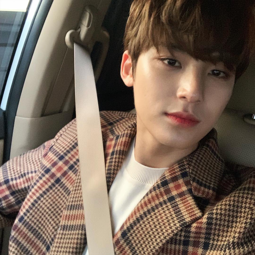 mingmingyu_twt's tweet photo. my babies, my loml 🤍 https://t.co/9EQbUWqNGu