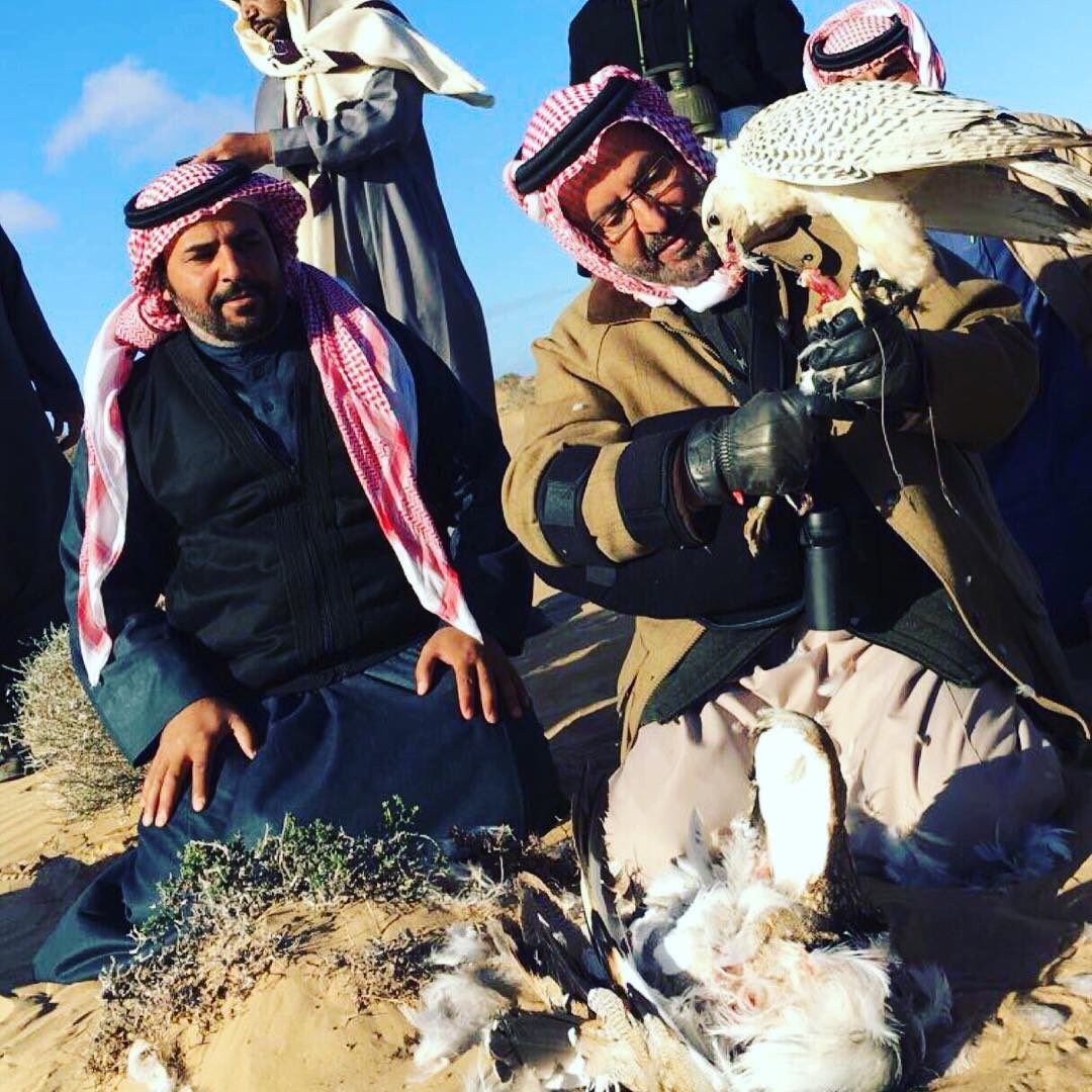 أبارك لصاحب السمو الملكي الامير سعود بن عبدالمحسن بن عبدالعزيز الثقة الملكية لتعيينه سفيراً  #البرتغال تستاهل ياابو فيصل