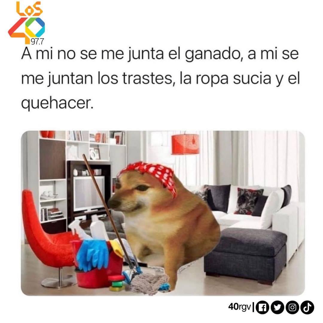 40rgv's tweet photo. ๐
Upsi
ยกBuen dรญa! les deseamos un lindo Jueves. Nos escuchamos en #Femmes40 con #AlyGarrido Y #ErikaSierra ๐ https://t.co/9wCnywlVei