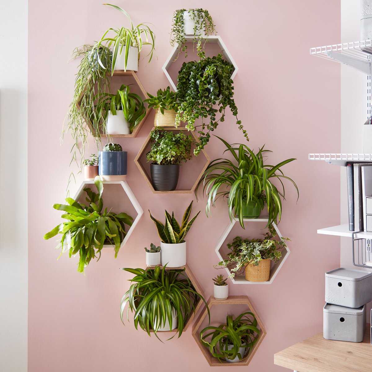 Botany plants recently? We have storage for that 😏 Find your houseplant: bit.ly/38cdIcV Shop storage: bit.ly/3w17Zkw