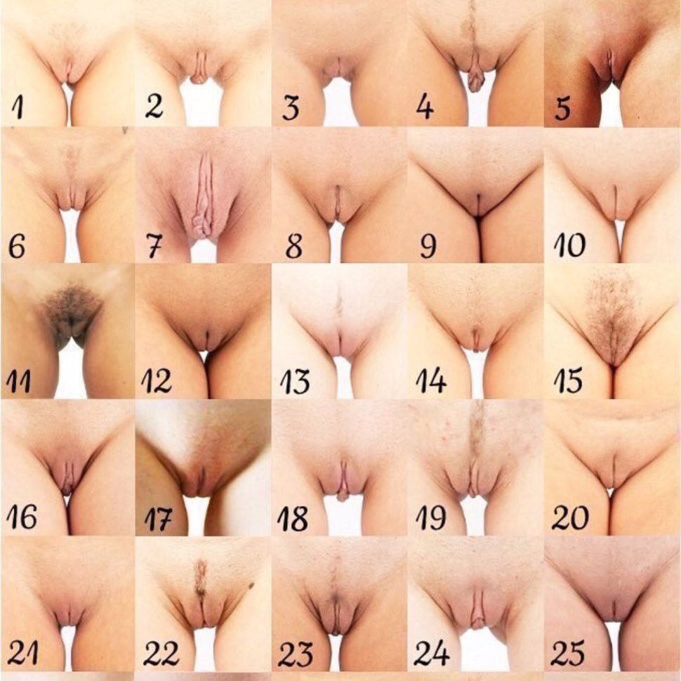 9-porno.ru Разновидности вагины фото