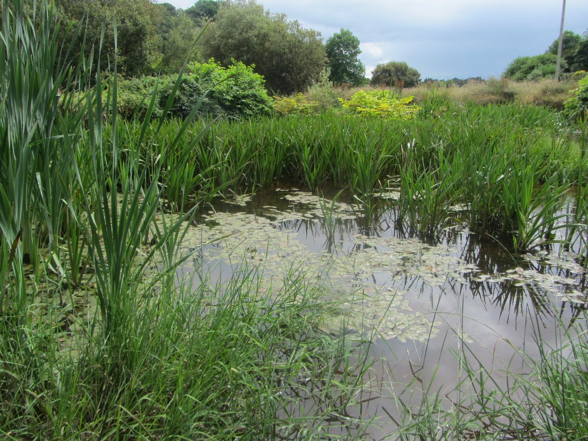 agriculture_ie's tweet photo. The final theme of #WaterQualityWeek is ‘farmyards and summary of key messages’
The importance of good farmyard management practices will be explained as it plays a vital role in minimising point source losses of nutrients.
📍https://t.co/wI4aPUUZ5W https://t.co/E9qrpm0UHX
