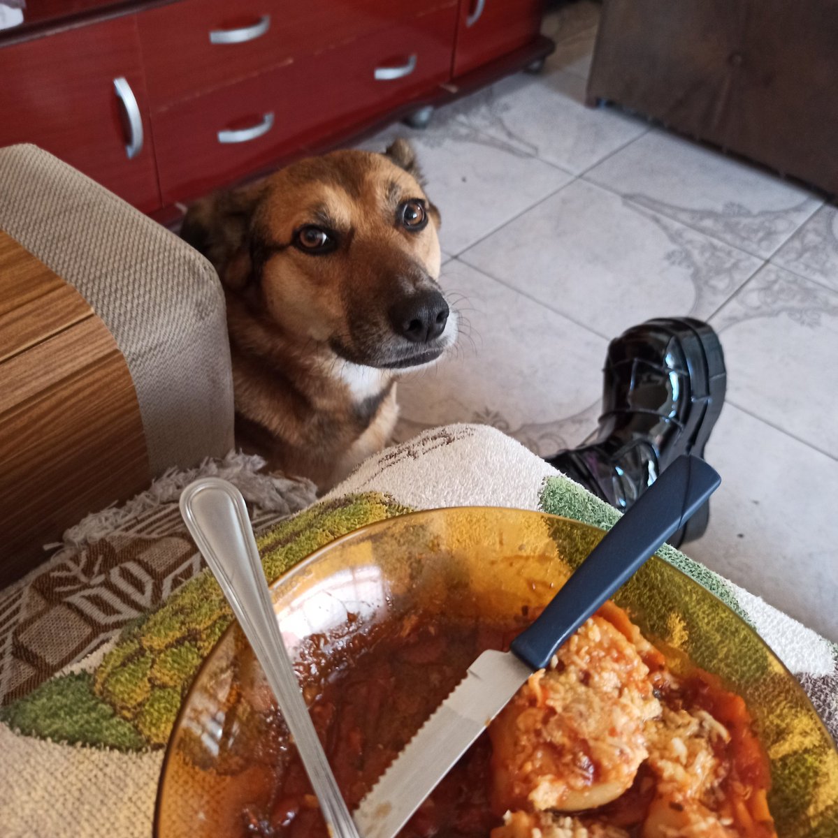 atrahre's tweet photo. Tenemos que hablar de la hipocresía canina 🐶. https://t.co/ZLdXCT0P9v
