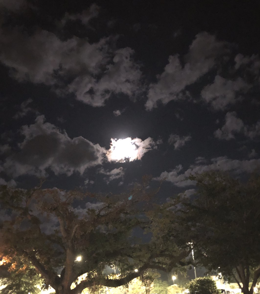 kstillerman's tweet photo. "Don't tell me the moon is shining; show me the glint of the light on broken glass."
--Anton Checkhov https://t.co/QFuIe7wzPi