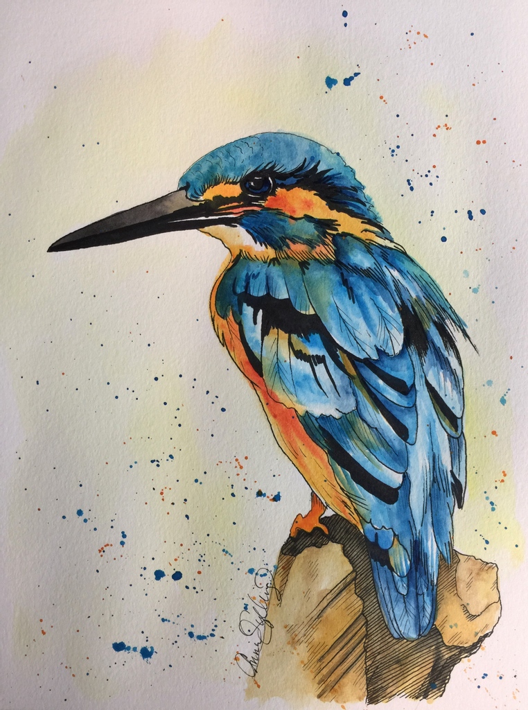 xCREATIVEANNIEx's tweet photo. I loved painting this one- kingfisher
#birdart #birdillustration #illustrationwall #artistsoninstagram #paintingart #watercolor_gallery #creativebug #watercolorist #illustratorlife #instagramartist #watercolorartist #watercoloring #animalcreatives #animalartists #illustratenow https://t.co/f17nUOSYzI