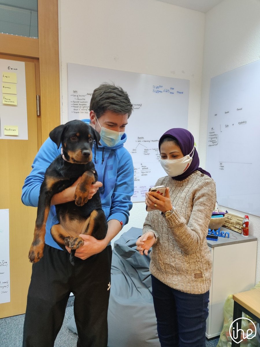 inheaden's tweet photo. The joy of a puppy in any workspace is incredible ✨

Did your workplace allow pets pre-COVID? Let us know in the comments below 👇

#inheaden #getITdone #petsofinheaden #technology #startup https://t.co/HSd4RrjXjN