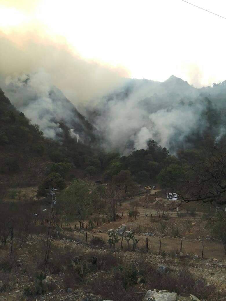 _iveeethG's tweet photo. #NuevoLeón En la sierra límites Linares- Iturbide continúa el incendio desde la tarde de ayer, me informan que se ha expandido. Los pobladores arriesgaron su vida con el fin de controlarlo, sin embargo se salió de control. @PC_NuevoLeon #Ayúda https://t.co/wlN8k8vrqO