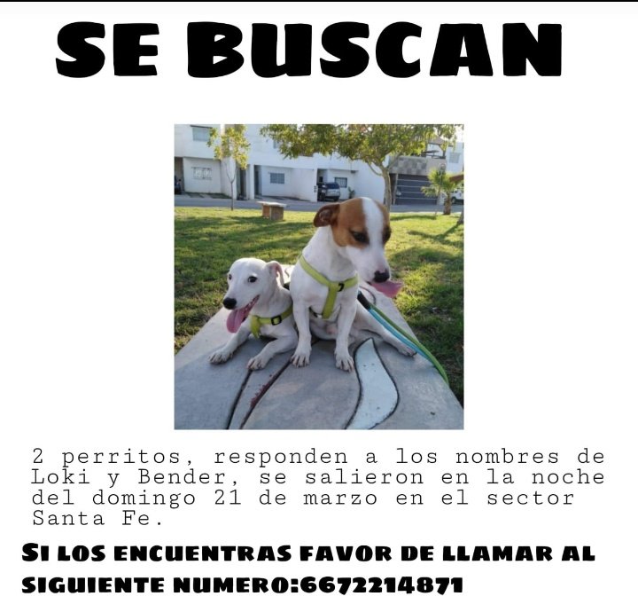 JrVonDoom's tweet photo. Raza de #Culiacan, echen la mano compartiendo. https://t.co/KbVvEVUUlz
