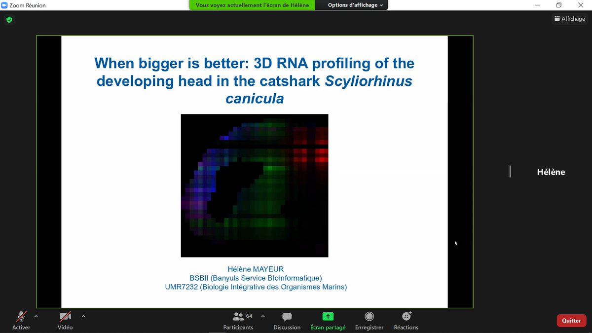 A new talk from <a href="/BIOM80075242/">BIOM</a> at #JAD, by Hélène MAYEUR about her work on 3D RNA profiling of the developing head in the catshark Scyliorhinus canicula