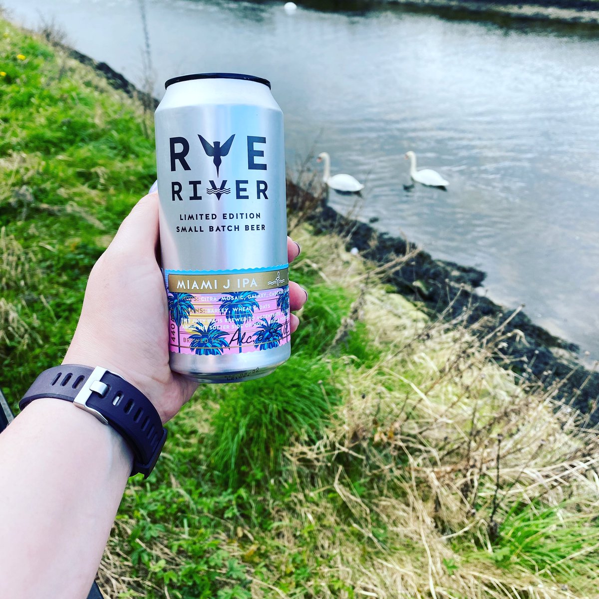 ryeriverbrewing's tweet photo. After checking the aul weather app, it seems weβre enjoying the last bit of decent weather for a while π Weβre making the most of it though with an al fresco Miami J IPA and some swans for company π¦’
#IrishCraftBeer #IndependentCraftBrewery #RyeRiverSeasonal #ComeBackSunshine βοΈ https://t.co/D39003voHC