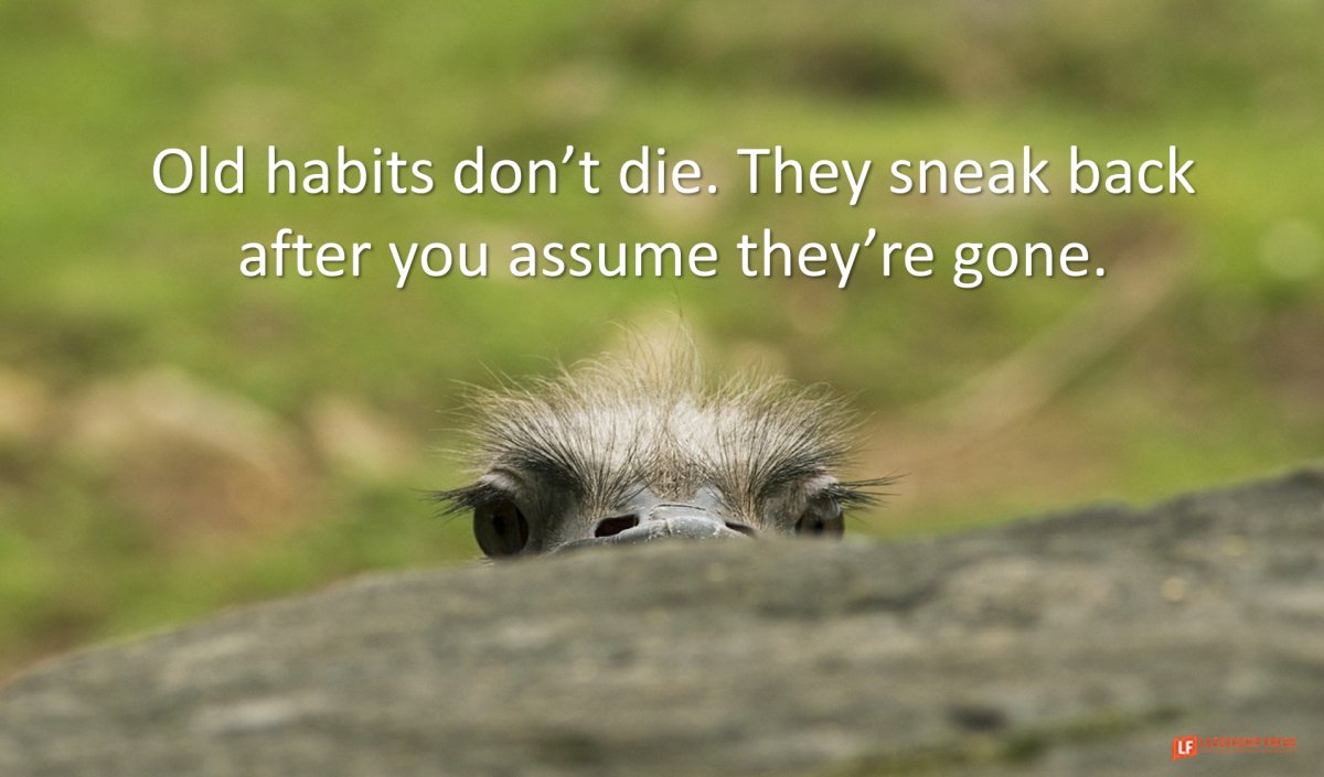 Anabel Domínguez (@anabeldo) on Twitter photo The 5 Worst Mistakes Leaders Make dlvr.it/RwMKRk The 5 Worst Mistakes Leaders Make dlvr.it/RwMKRk