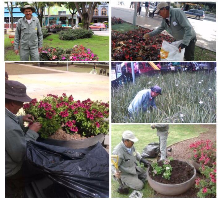 Parque93Bogota's tweet photo. La Asociación Amigos del Parque 93, lamenta informar el fallecimiento de Don Jaimito, nuestro querido jardinero del Parque 93. Nos encontramos muy tristes porque no solo fue una persona extraordinaria, sino que también tenía gran calidad humana. https://t.co/GwrDHtdfPq