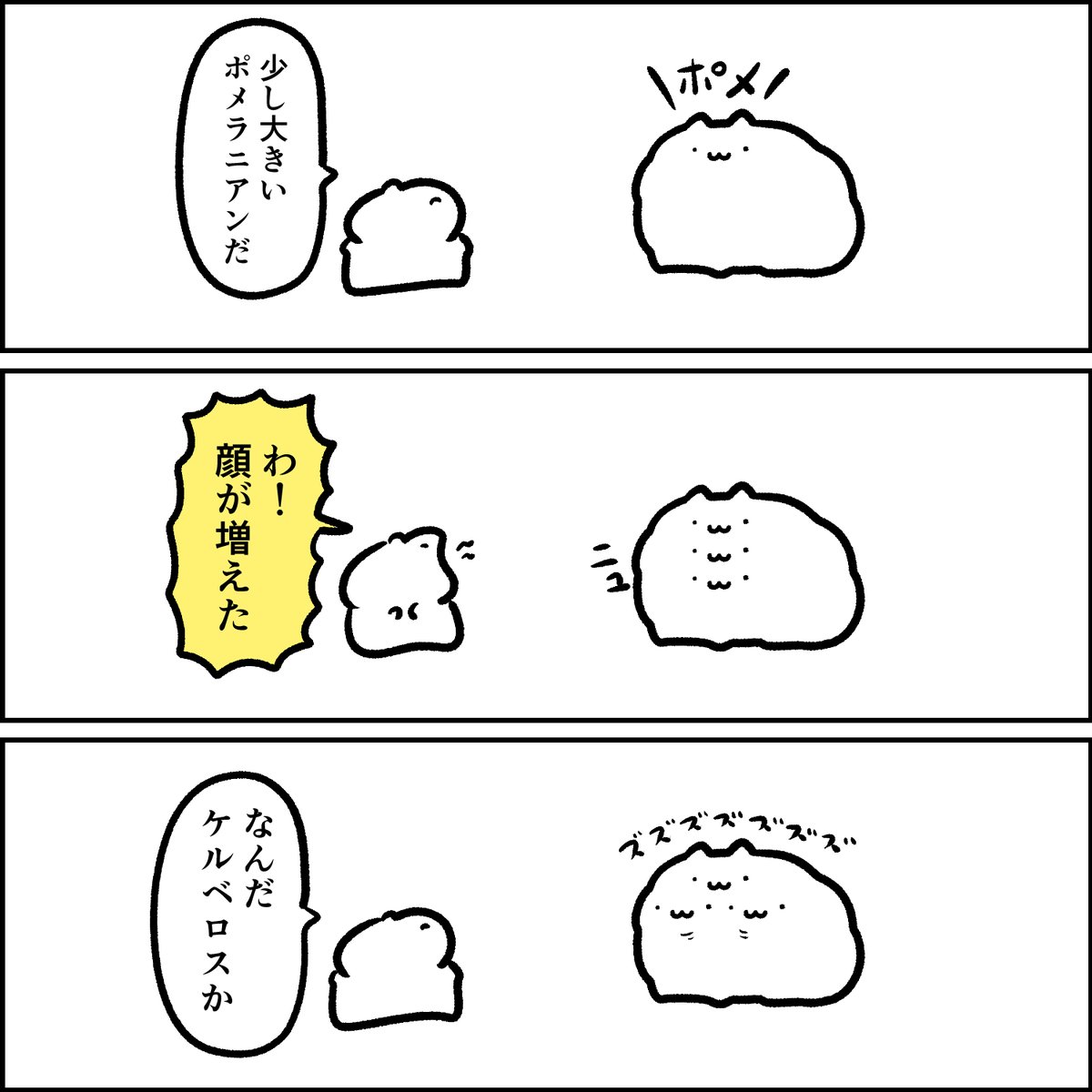 少し大きいポメラニアン 