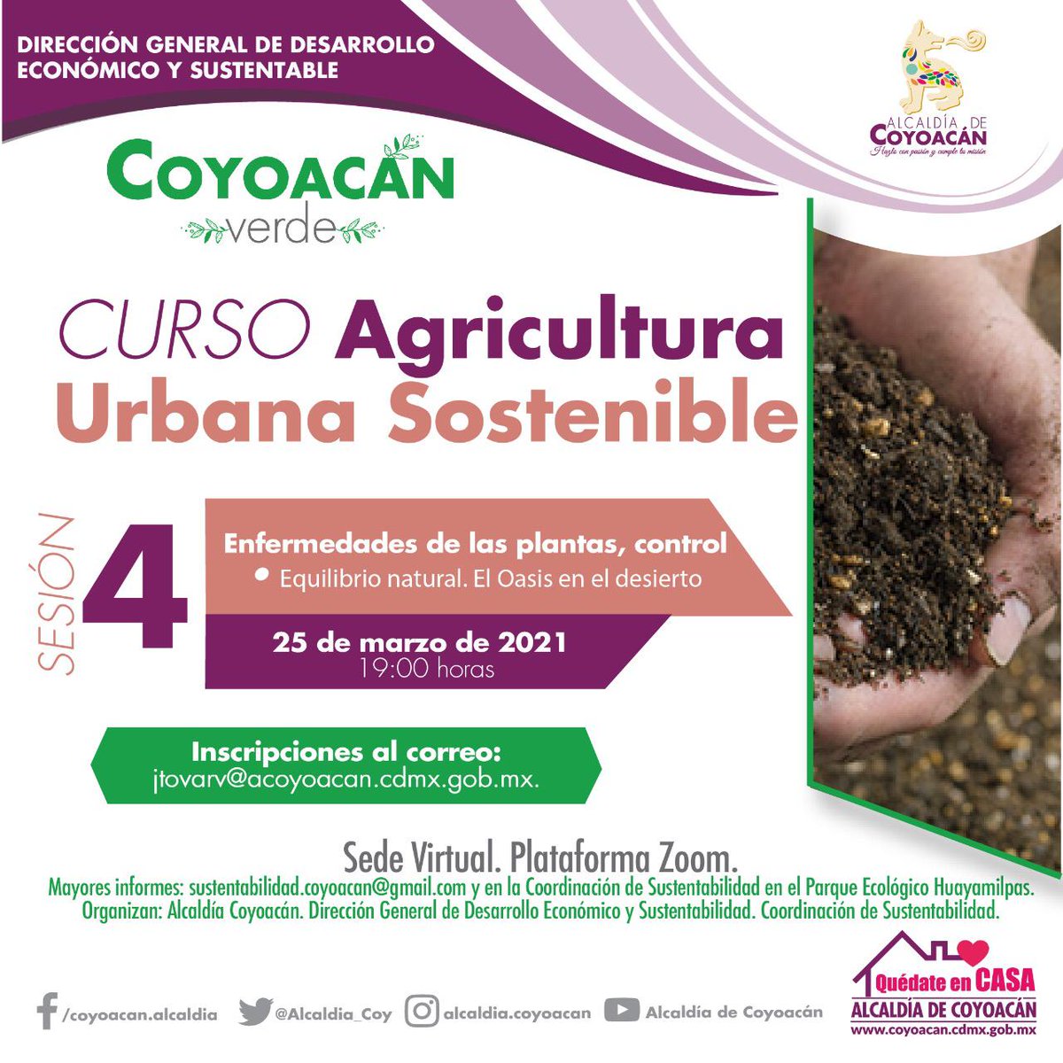 Alcaldia_Coy's tweet photo. Aún tienes tiempo de inscribirte al curso “Agricultura Urbana Sostenible” 👨🏻‍🌾 Sesión 4🌾

🗓 HOY 25 de marzo
🕓19:00 hrs.
💻Vía Zoom
📧Inscripciones: jtovarv@acoyoacan.cdmx.gob.mx

#CoyoacánVerde🍃 https://t.co/5emj3Edixi