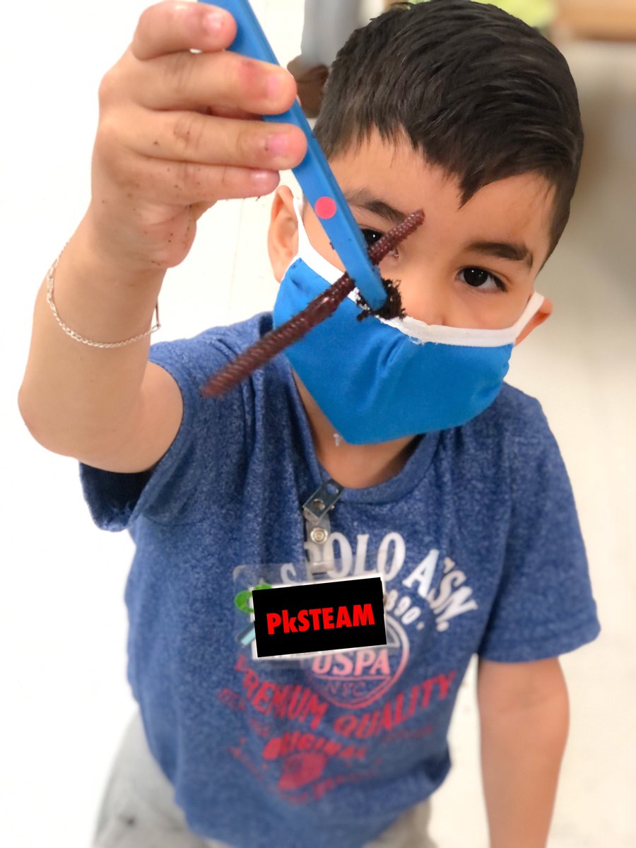 Mrs_Bridges_'s tweet photo. We've found so many cool [and icky] things in our soil hunt!!😄

🪱 have taken the top spot as the favorite find but our bugs come in a close second! 🕷🦂🐜🐞

@LJJacksonECC #LISDpk #STEAMclassroom #PrekScience #PreKStem https://t.co/5F9bKutF3o