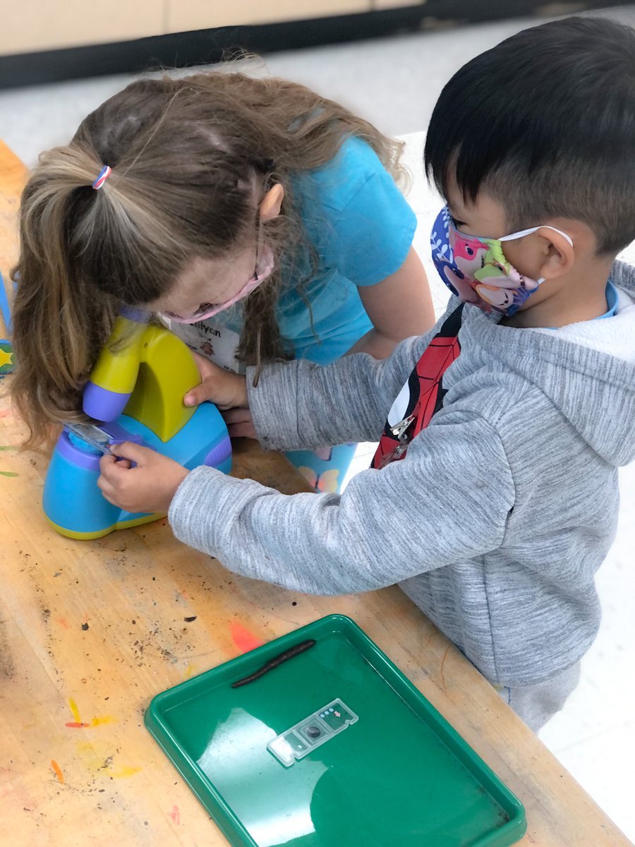 Mrs_Bridges_'s tweet photo. We've found so many cool [and icky] things in our soil hunt!!😄

🪱 have taken the top spot as the favorite find but our bugs come in a close second! 🕷🦂🐜🐞

@LJJacksonECC #LISDpk #STEAMclassroom #PrekScience #PreKStem https://t.co/5F9bKutF3o