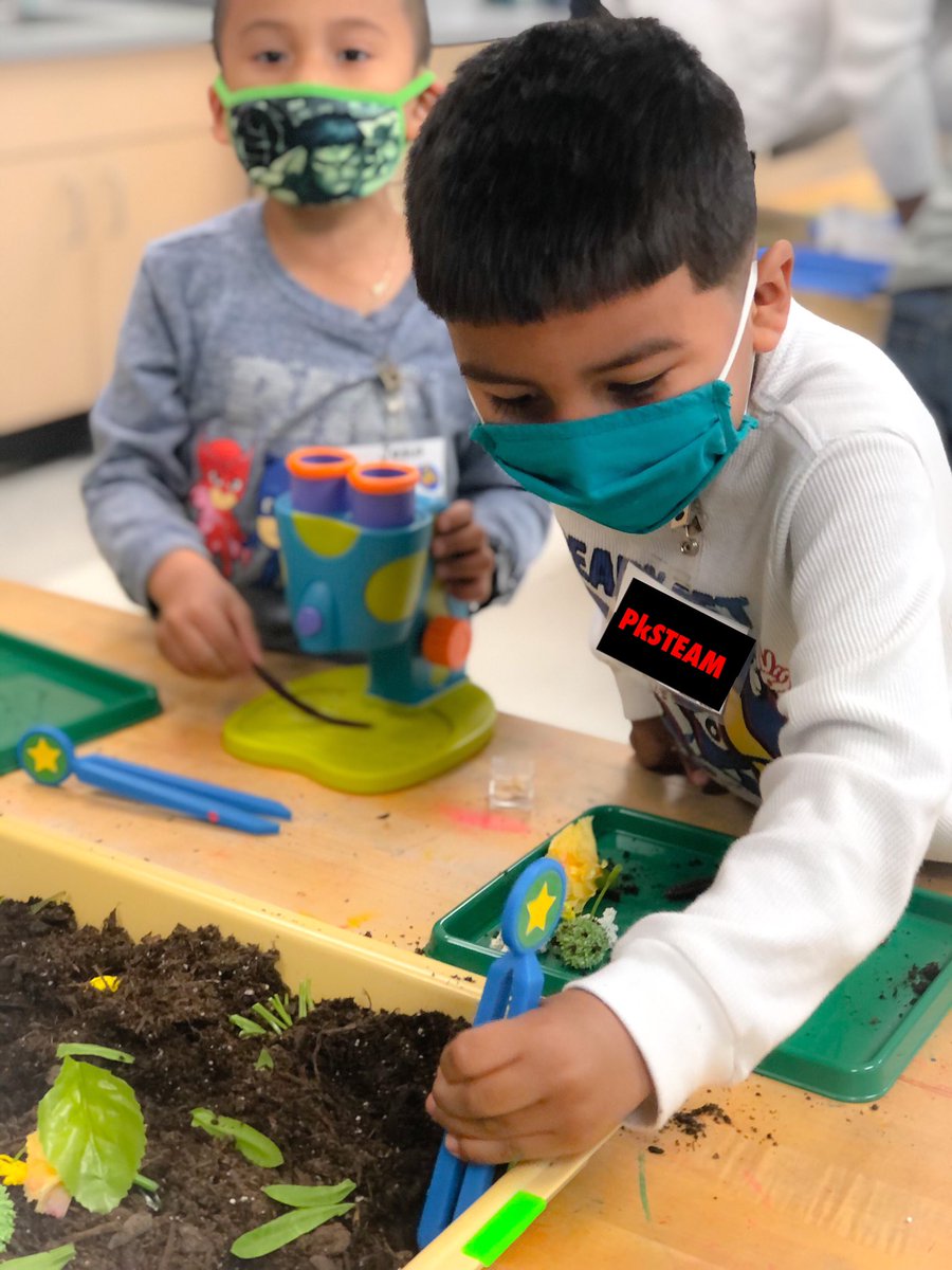 Mrs_Bridges_'s tweet photo. We've found so many cool [and icky] things in our soil hunt!!😄

🪱 have taken the top spot as the favorite find but our bugs come in a close second! 🕷🦂🐜🐞

@LJJacksonECC #LISDpk #STEAMclassroom #PrekScience #PreKStem https://t.co/5F9bKutF3o