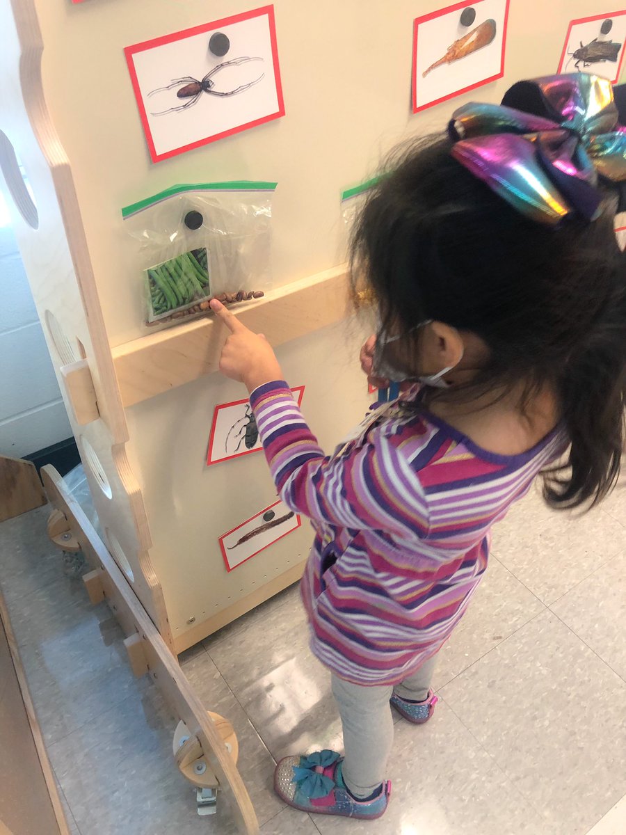 Mrs_Bridges_'s tweet photo. We've found so many cool [and icky] things in our soil hunt!!😄

🪱 have taken the top spot as the favorite find but our bugs come in a close second! 🕷🦂🐜🐞

@LJJacksonECC #LISDpk #STEAMclassroom #PrekScience #PreKStem https://t.co/5F9bKutF3o