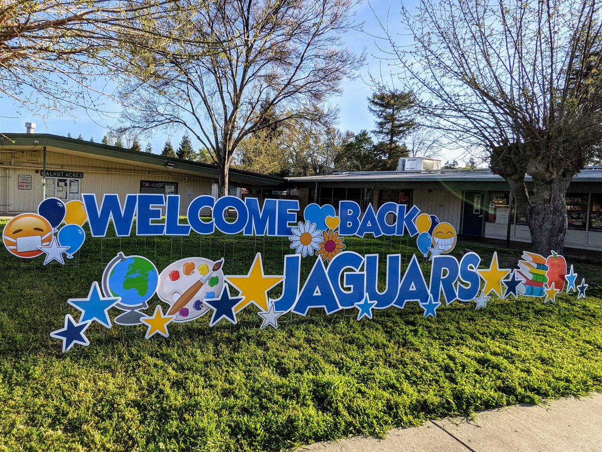 Stephanie Perham tweet media