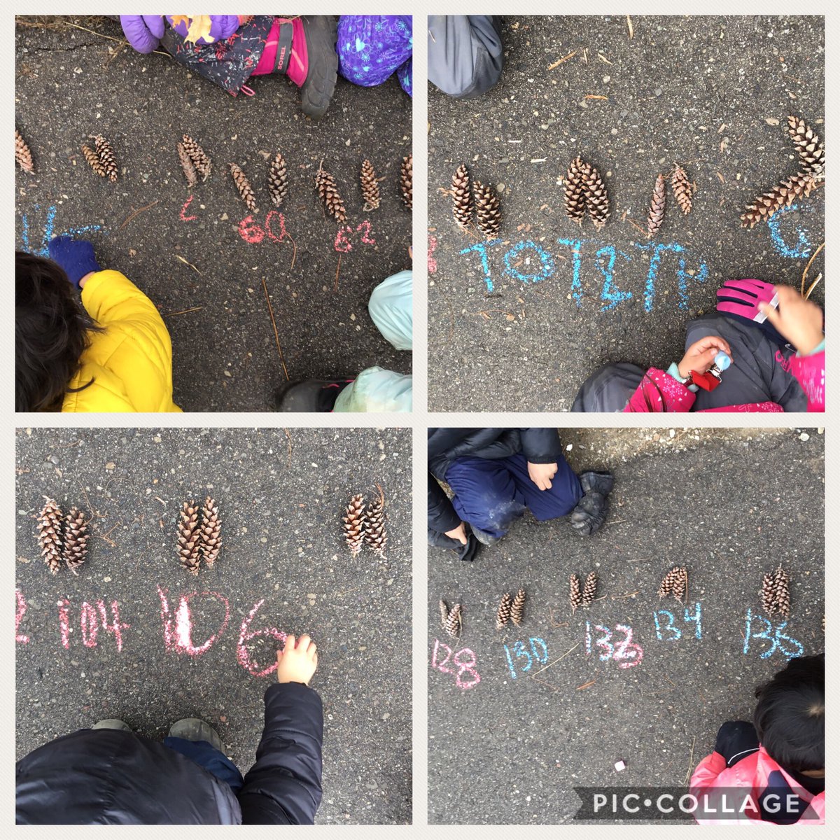dianak__'s tweet photo. Students wanted to collect pinecones during our walk.  How many are they? We practiced skip counting by 2s! We counted 172 pinecones!!! #earlyyears #kindergarten @OscarPetersonP2 @Ics_Stef https://t.co/DKeNp3IvNU