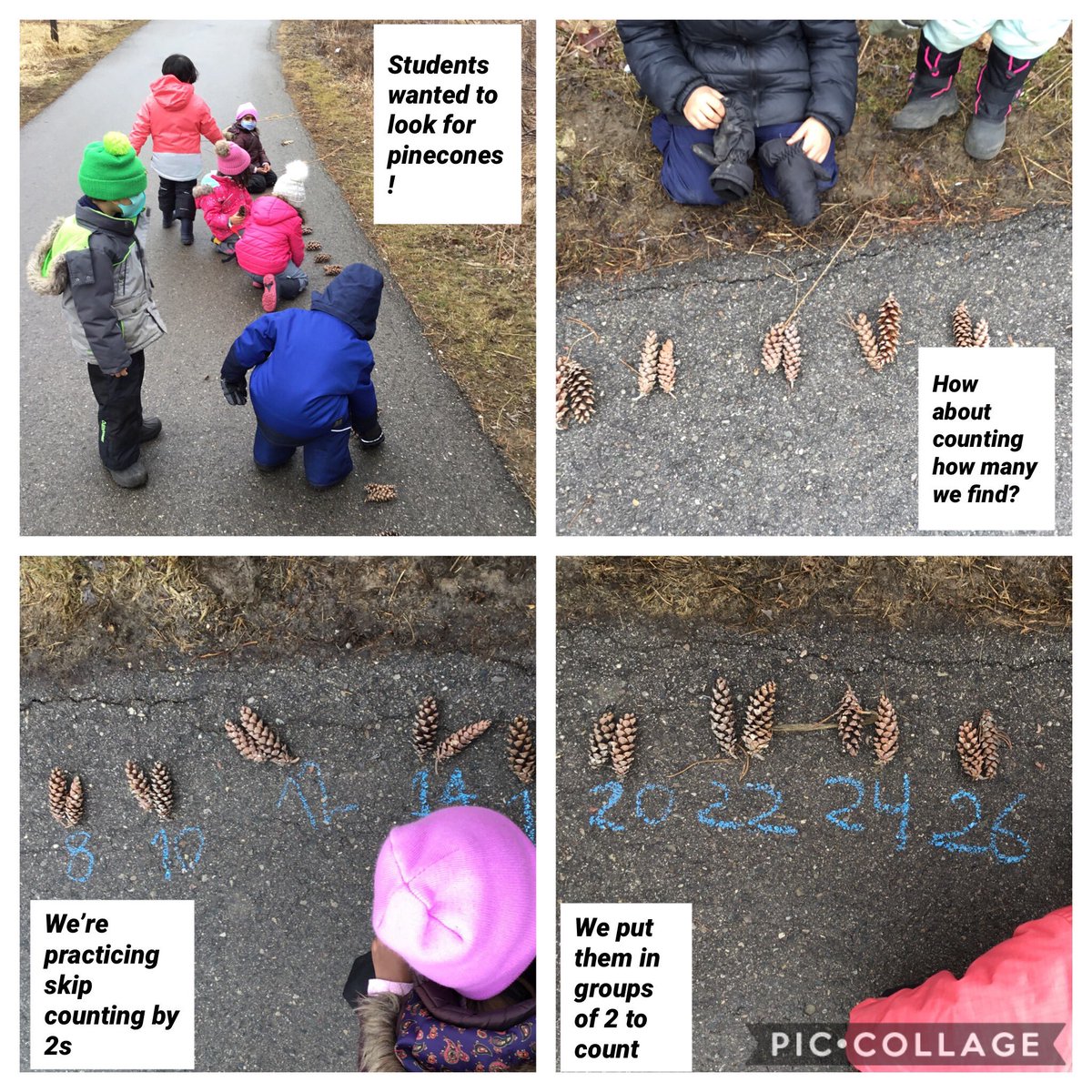 dianak__'s tweet photo. Students wanted to collect pinecones during our walk.  How many are they? We practiced skip counting by 2s! We counted 172 pinecones!!! #earlyyears #kindergarten @OscarPetersonP2 @Ics_Stef https://t.co/DKeNp3IvNU