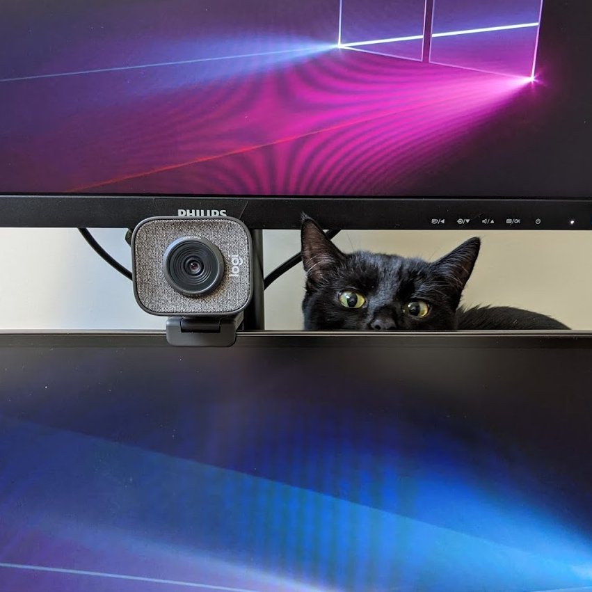 Ramsey8642's tweet image. My WFH fail is that my kitten seems to think that I need a Webcat, she likes to sit like this during calls with clients. Thankfully it's only made me laugh in the middle of an important meeting once and the client saw the funny side when I sent over the photo #AnkerWork