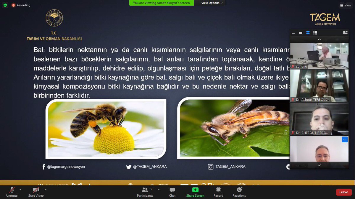 Tika_Algeria's tweet photo. #TİKA’nın koordinasyonunda gerçekleşen eğitim kapsamında Ordu Arıcılık Araştırma Enstitüsü ve TÜBİTAK Marmara Araştırma Merkezi uzmanları Türkiye’nin ileri arı ürünleri (propolis, arı sütü, polen vb) konusundaki tecrübelerini Cezayirli uzmanlarla paylaştı. #Algeria #DGRSDT #CRAPC https://t.co/sSQWFGyEpY