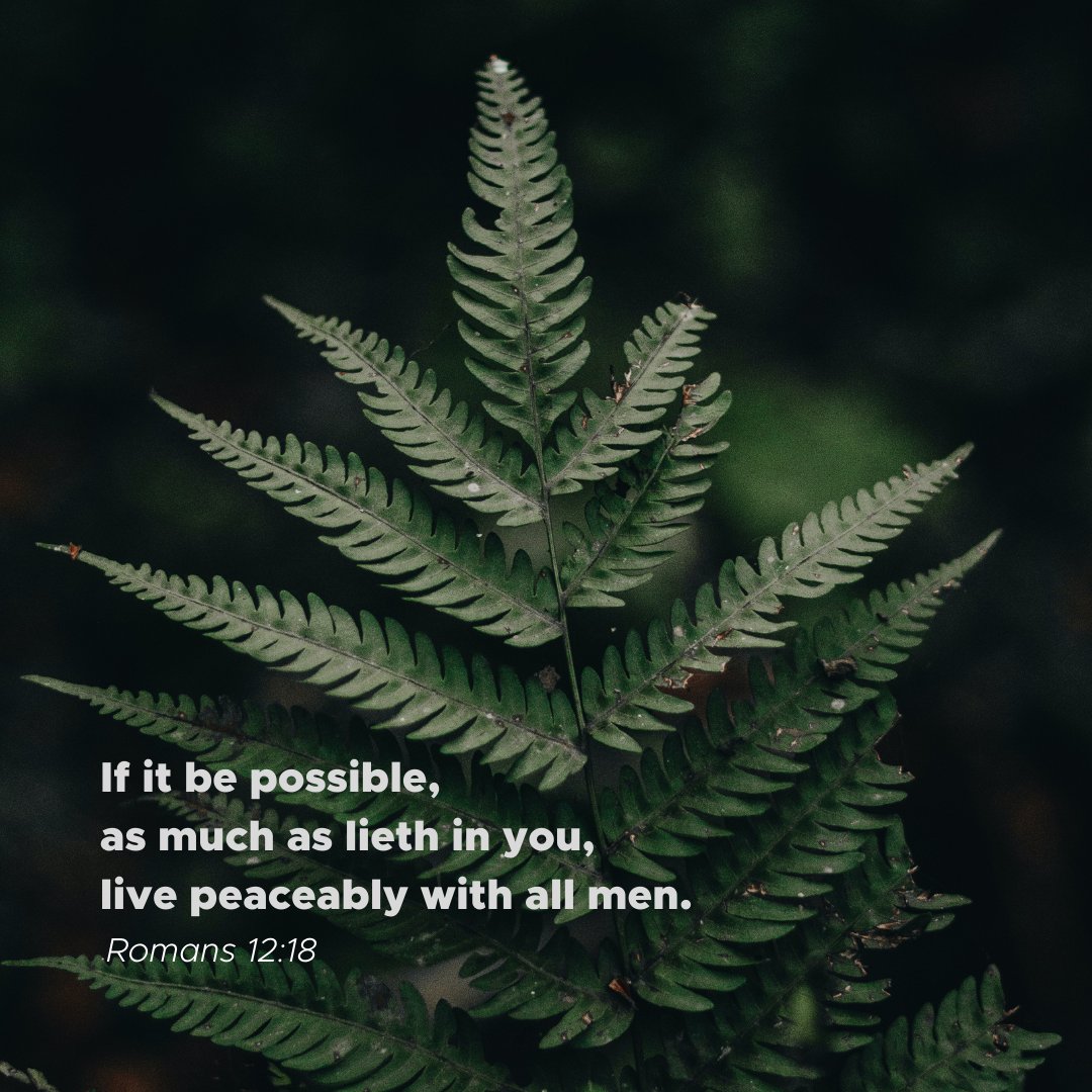 coastlinebc's tweet photo. Love Substantiates Our Salvation
#coastlinebaptist #projectresurrection #scripture #bible #dailyverse #Romans https://t.co/nkukY1mrFQ