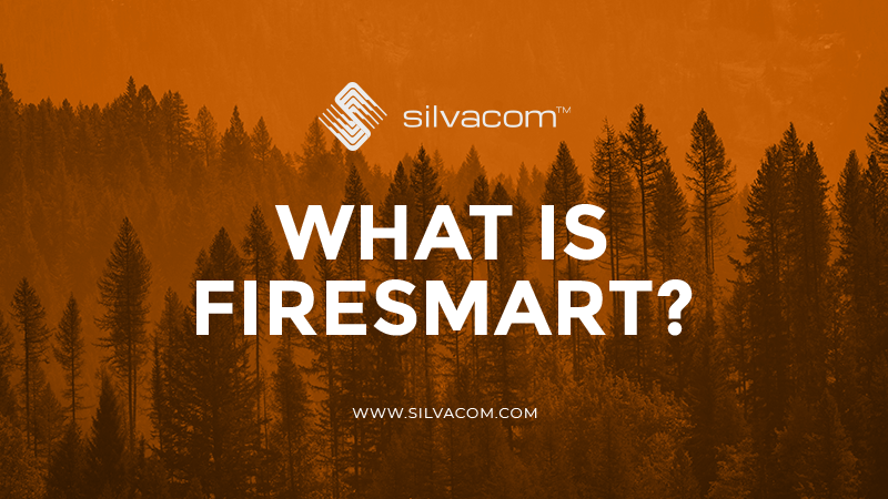 As the snow melts the risk for wildfires in Alberta returns. FireSmart is a tool designed to reduce the likelihood of large uncontrollable wildfires near communities and infrastructure. Want to learn more about FireSmart? Visit hubs.la/H0JVHHh0