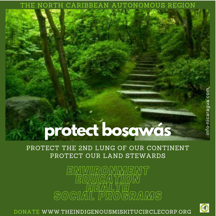 MiskituThe's tweet photo. Protecting Bosawas is not just about the environment, it's about shouting the HUMANITY of indigenous peoples and their right as stewards of the land. Support our work by donating to our kickoff fund today! https://t.co/l7ySeW4LfD https://t.co/1CxMFGScu8