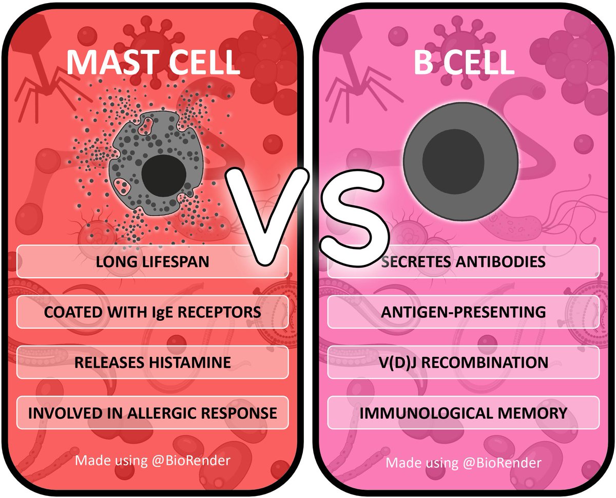 ATrotmanGrant's tweet photo. Where does your 💜 lie?
#TeamMast vs #TeamBCell
What other features can you list for each? https://t.co/FWsu8fRzF7