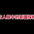 Peaceturtle3's tweet photo. 西方人眼中的新疆採棉花VS真实的新疆採棉花，HM做个人吧 https://t.co/mNtkAwcVWc https://t.co/Mc0Z98cAMF