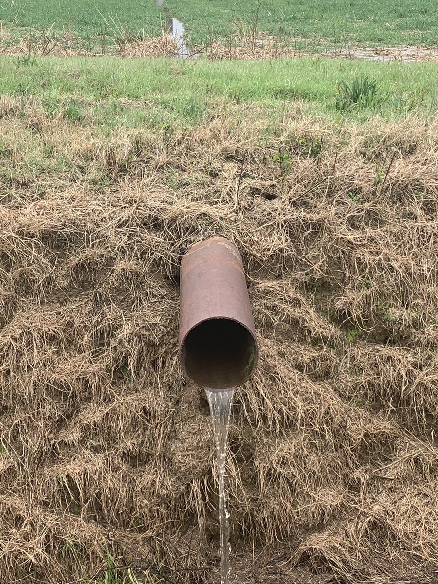 cottonplantkid's tweet photo. One is #notill with #covercrops the other is full tillage. Can you spot the differences? https://t.co/qkcbOReWQQ