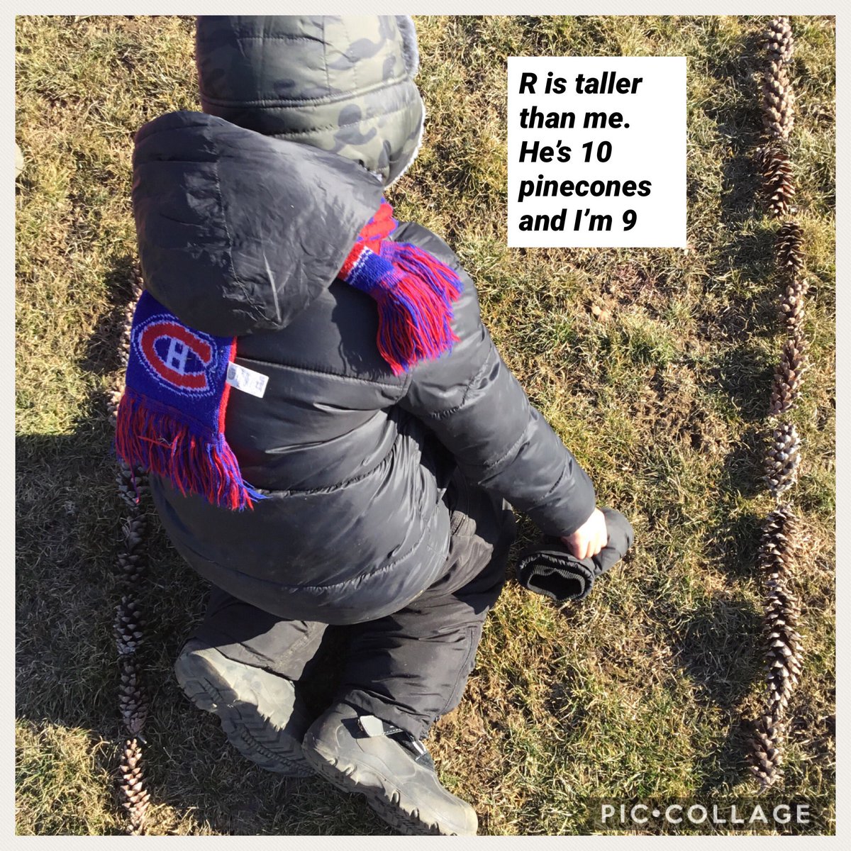 dianak__'s tweet photo. The next day we used the pinecones for another math activity - measuring with non standard units. Students measured their partners and compared their heights. #earlyyears #kindergarten @OscarPetersonP2 @Ics_Stef https://t.co/sL9Mt42pD8