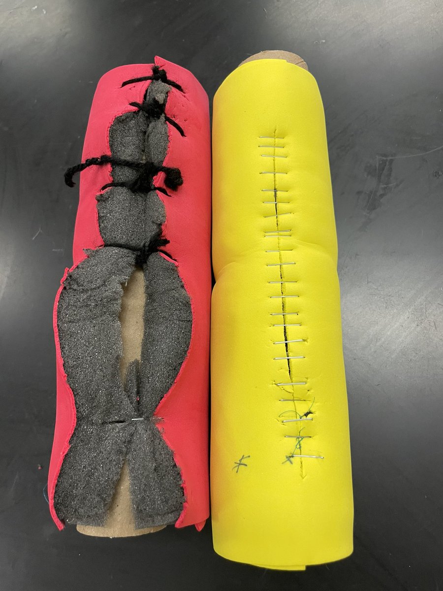 tniekamp's tweet photo. Their task was to perform surgery to stabilize a broken femur using either external or internal fixation. Then, suture them back up. First attempt in red, second attempt yellow. Staples did the trick! #VBExperience https://t.co/RQJlHNEPLB